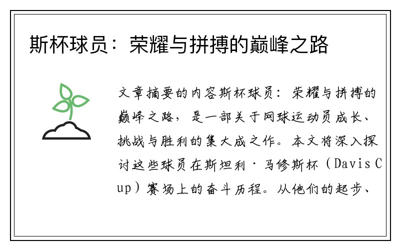 斯杯球员：荣耀与拼搏的巅峰之路