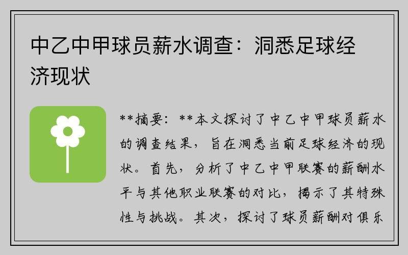 中乙中甲球员薪水调查：洞悉足球经济现状