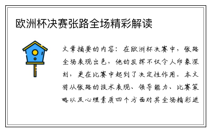 欧洲杯决赛张路全场精彩解读