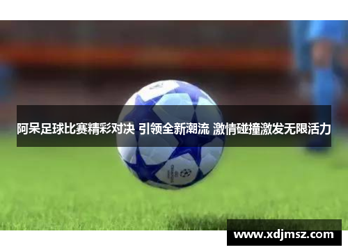 阿呆足球比赛精彩对决 引领全新潮流 激情碰撞激发无限活力